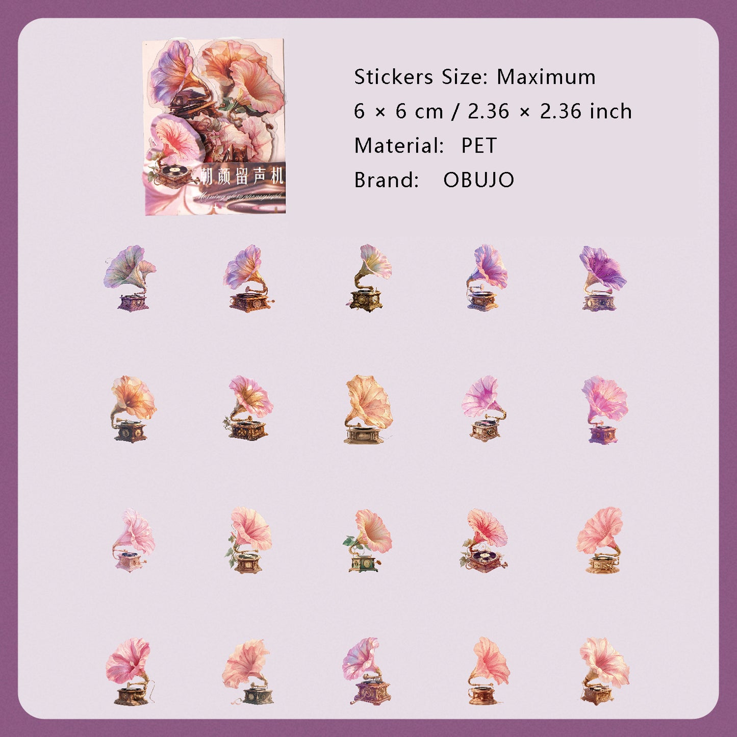 20 Pcs Floral Musical Instruments PET Stickers HHCMQ