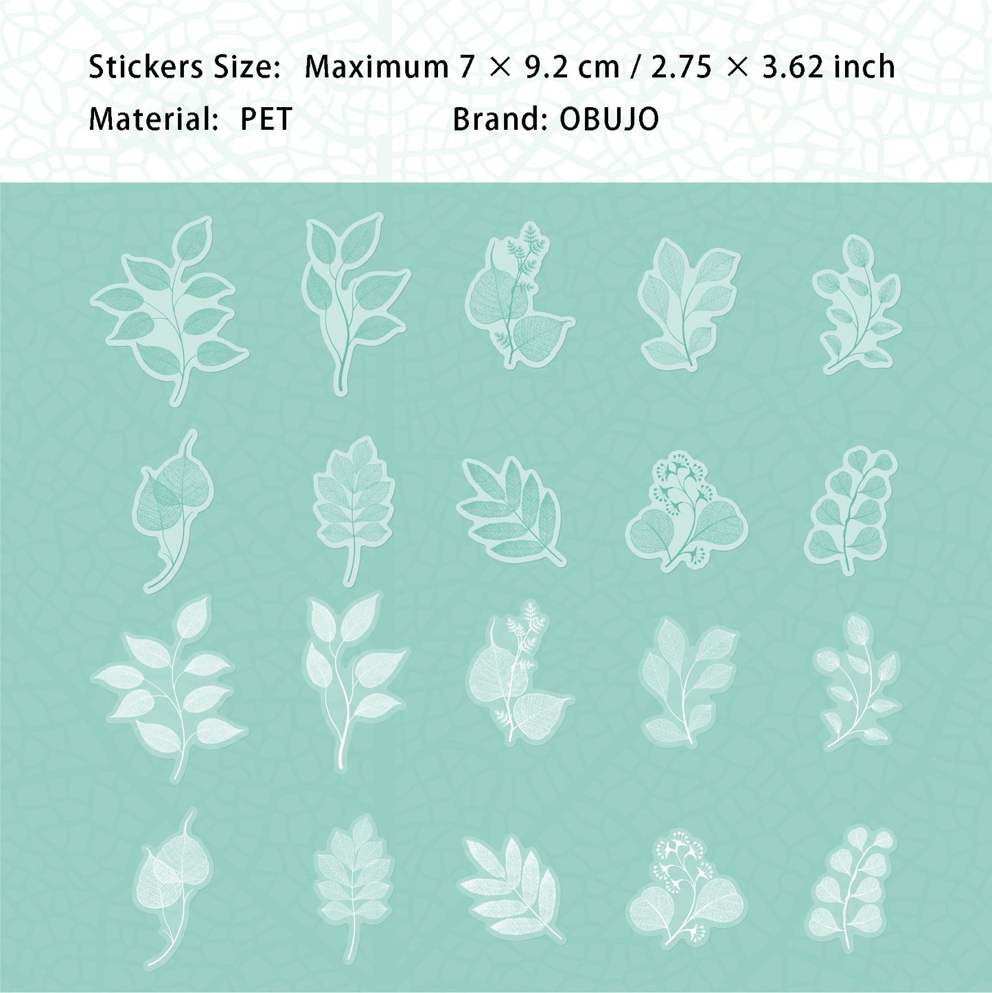 20 Pcs Leaf Texture PET Stickers YLXL