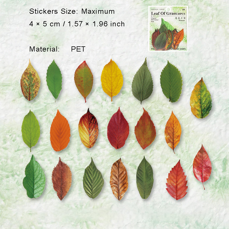 40 Pcs Pressed Leaf Stickers QDZY