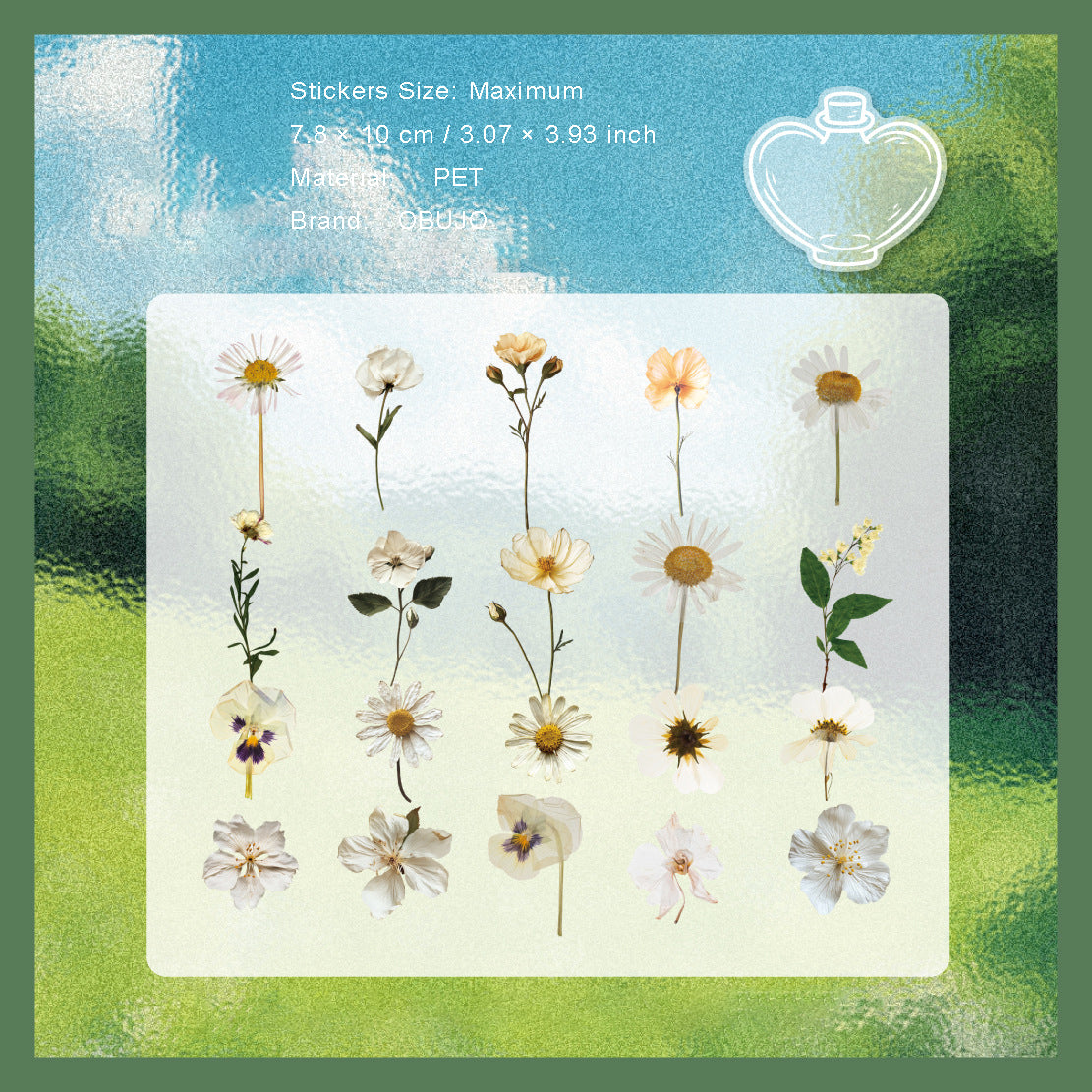 41 Pcs Pressed Flower PET Stickers GHXL