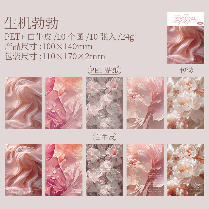 10 Sheets Texture PET Stickers and Paper SMHJ