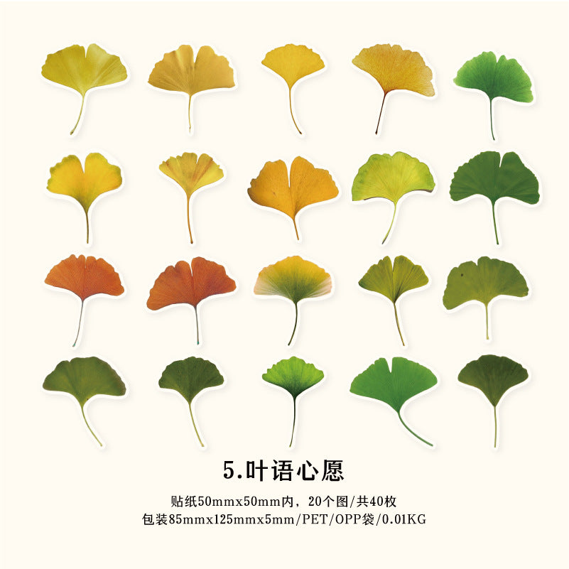 40 Pcs PET Leaf Stickers YZMY