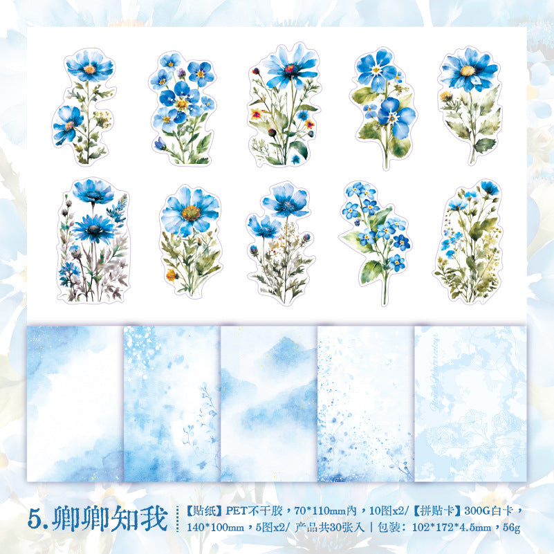 30 Pcs PET Stickers and Paper Journal Supplies HKDSH