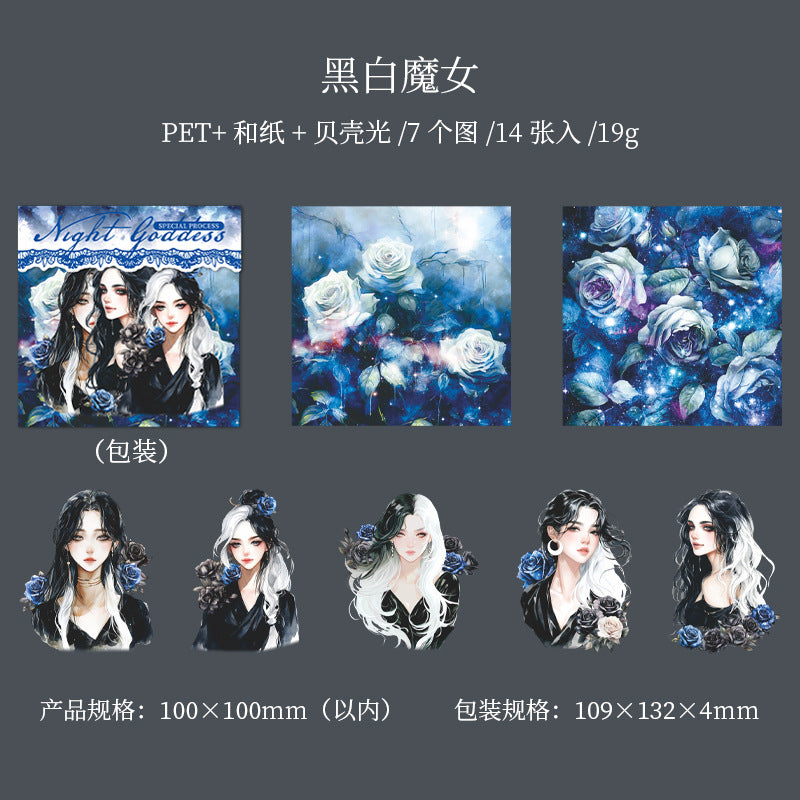 14 Pcs Magic Theme Washi Stickers and PET Stickers AYNS