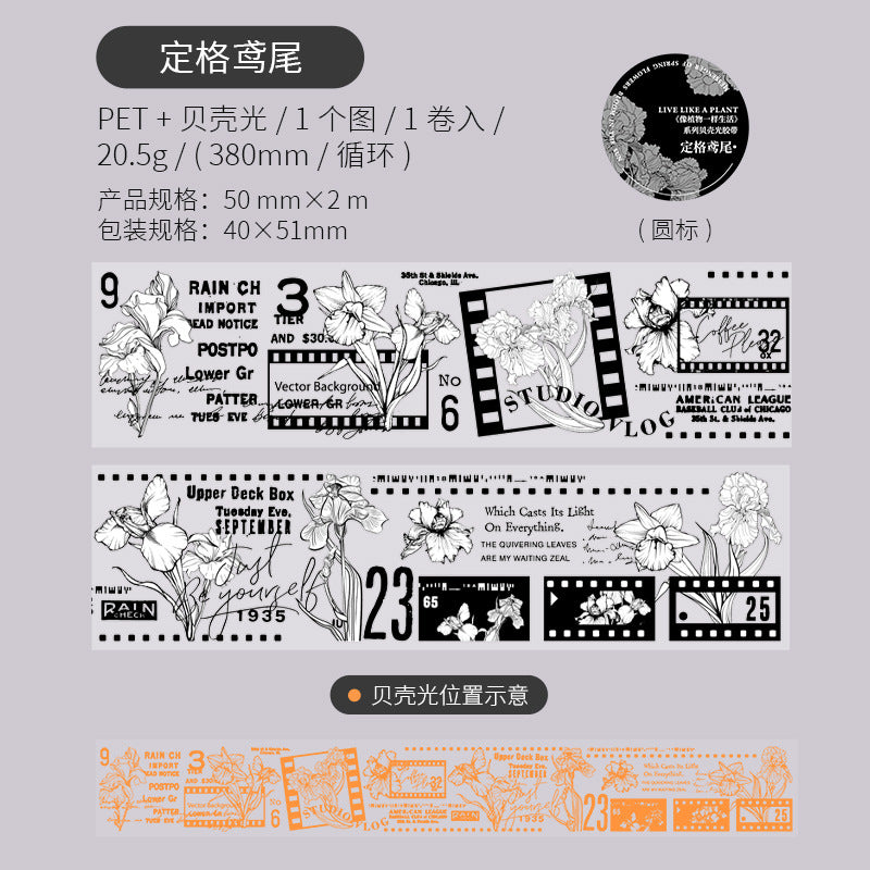 1 Roll Plant PET Tape XZWYY