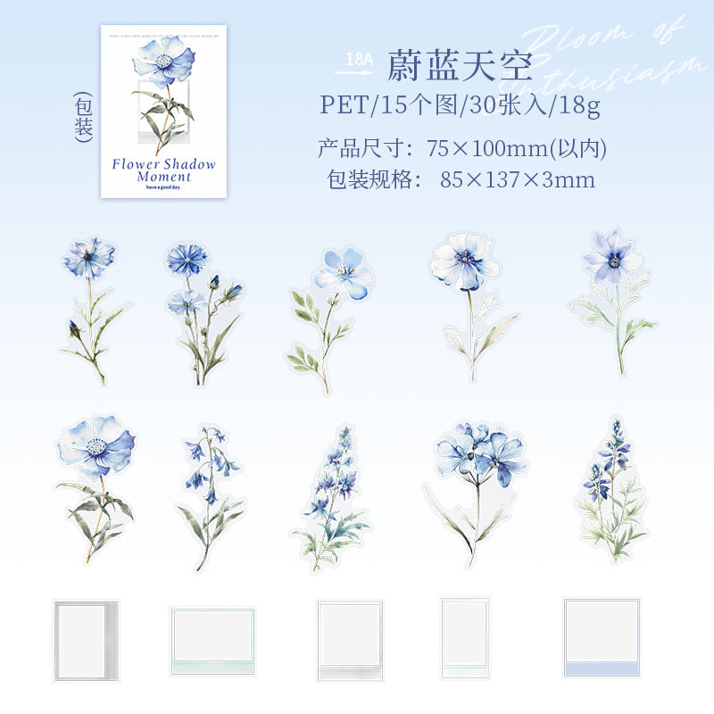 30 Pcs Flower and Frame PET Stickers HYSJ