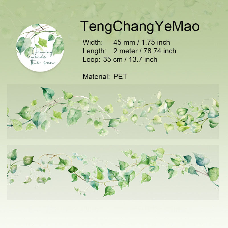 1 Roll Vine PET Tape XYSZ