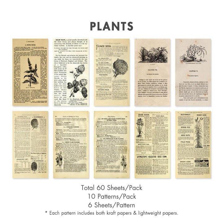 Zodiho Paper Materials - OBUJO