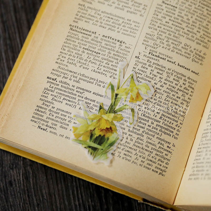 Lamqi Portrait Vellum Stickers