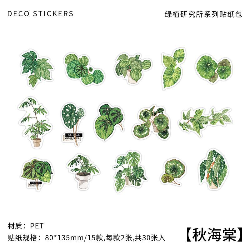 30pcs Nature Stickers LZYJ
