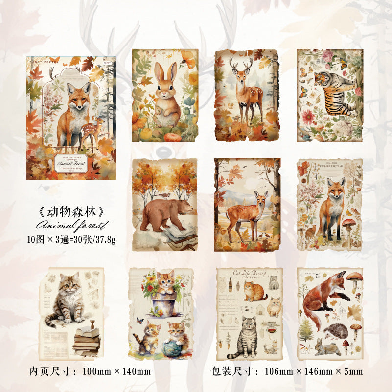 30 Pcs Vintage Scrapbook Paper WWYL