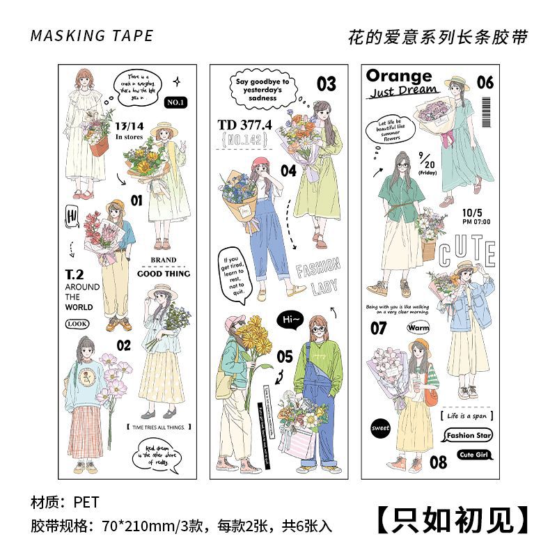 6pcs PET Stickers HDAY