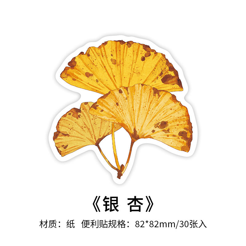 30 Pcs Leaf Notepad YLCS