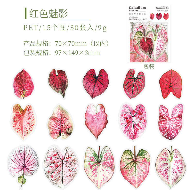 30pcs PET Leaf Stickers FZSY