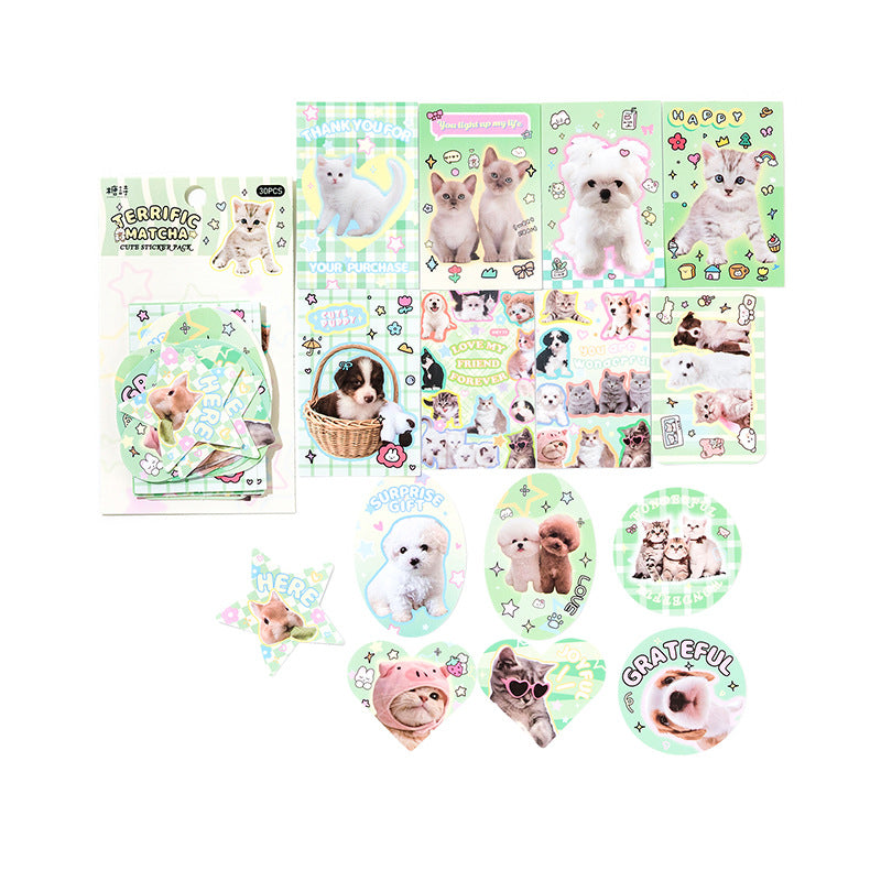 30pcs Animal Pet Stickers ABLY
