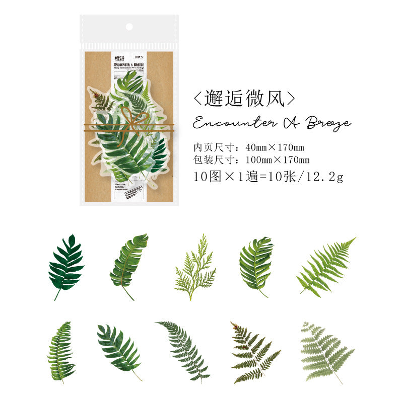 10Pcs PET Leaf Stickers YZQF
