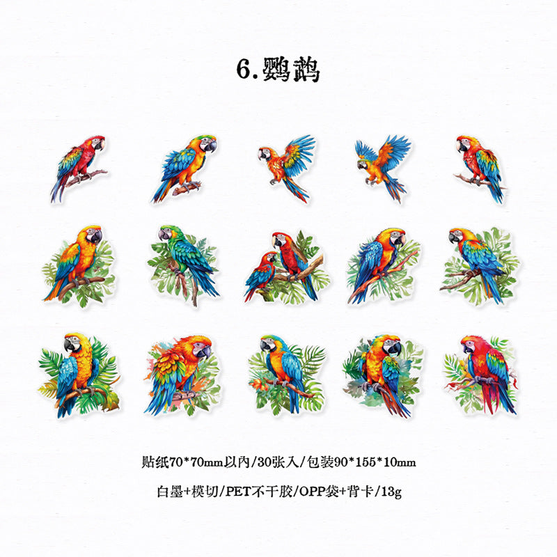 30pcs PET Bird Stickers FNSL