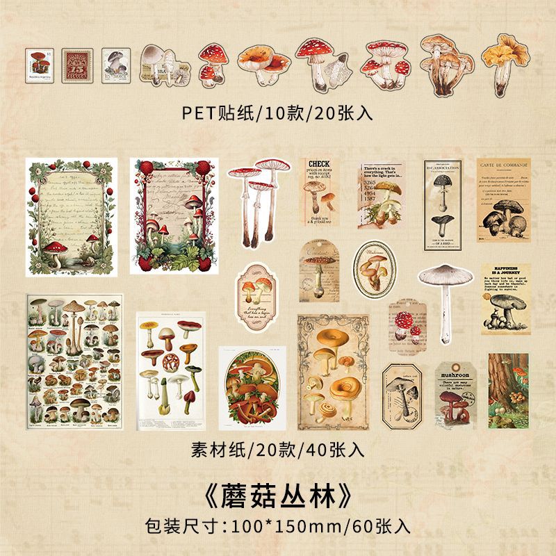 60Pcs Junk Journal Supplies Kit JYL