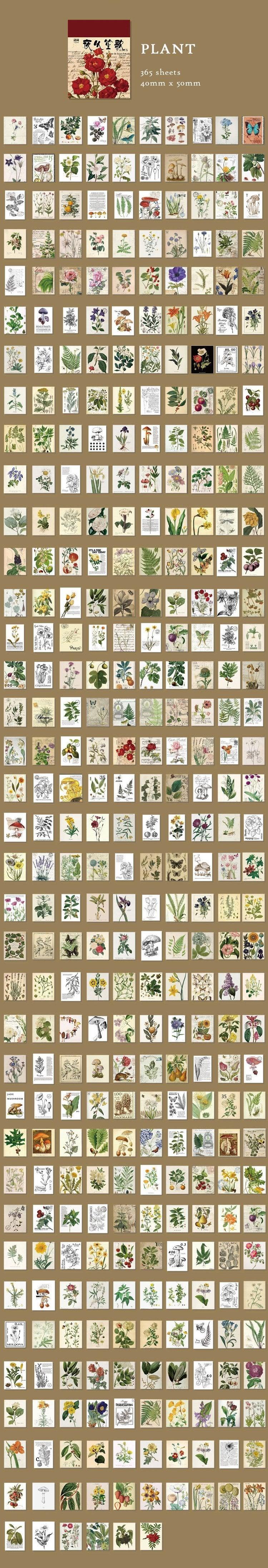 Socha Bujo Materials - OBUJO