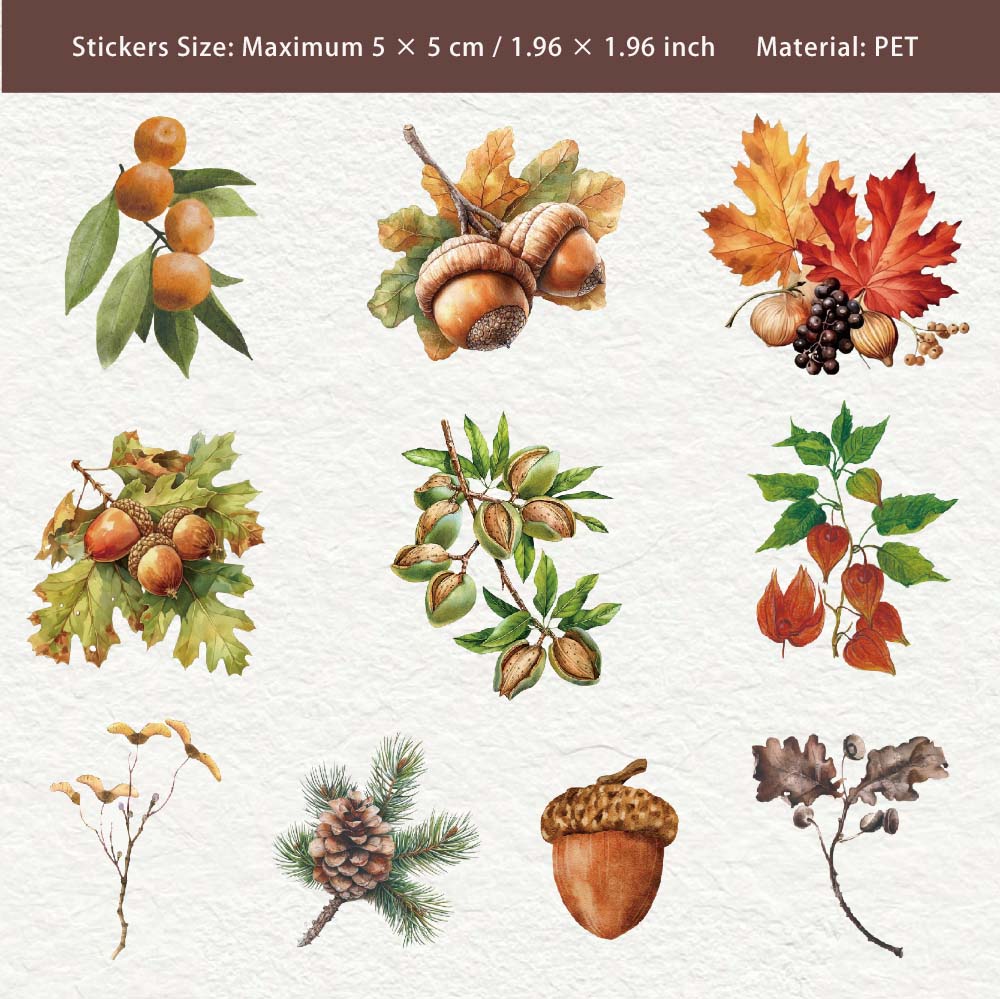 20 Pcs Autumn Harvest Fuits PET Stickers QSXL