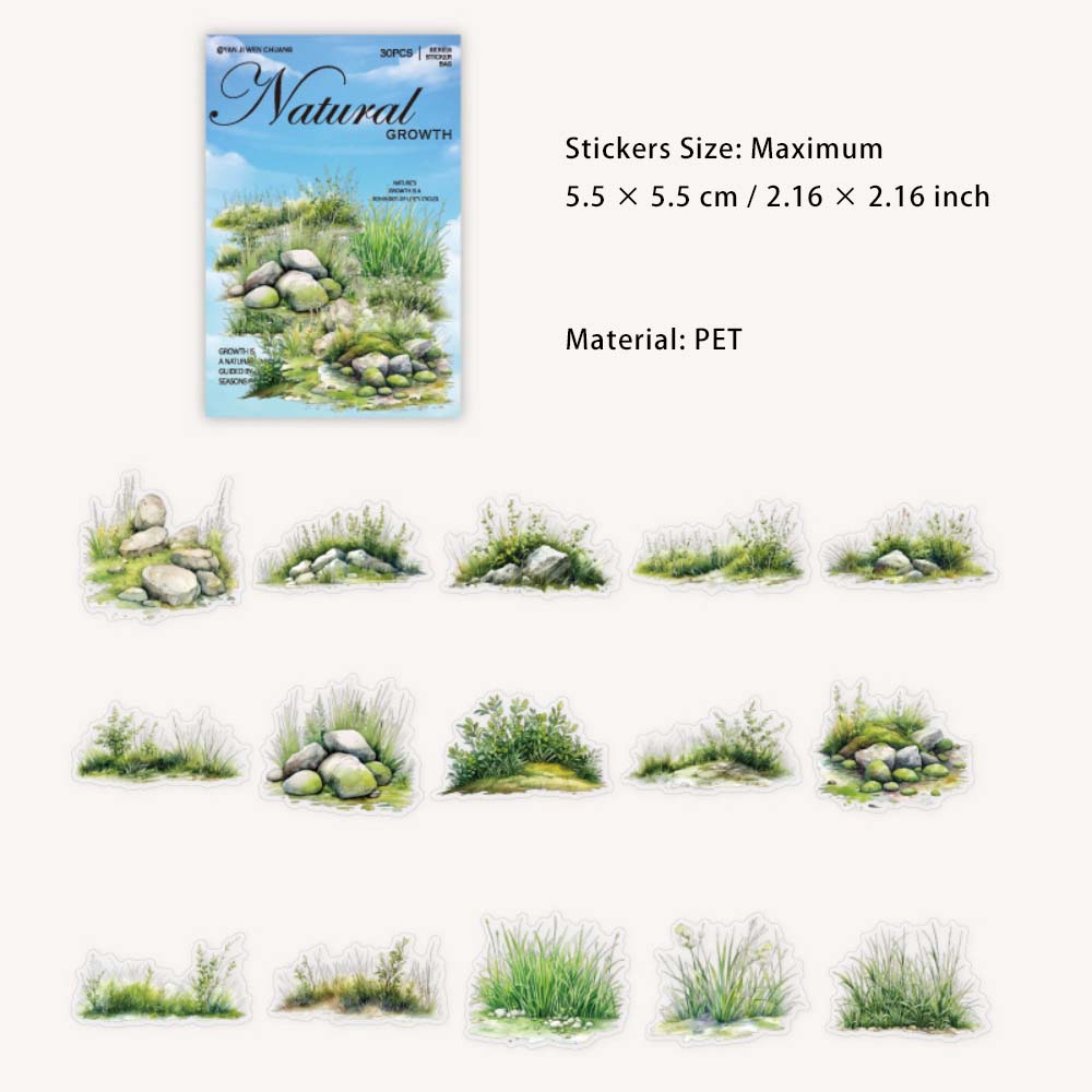 30 Pcs Wild Grass PET Stickers ZRSZ
