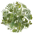 100 Pcs Natural Forest Greenery Leaves Stickers