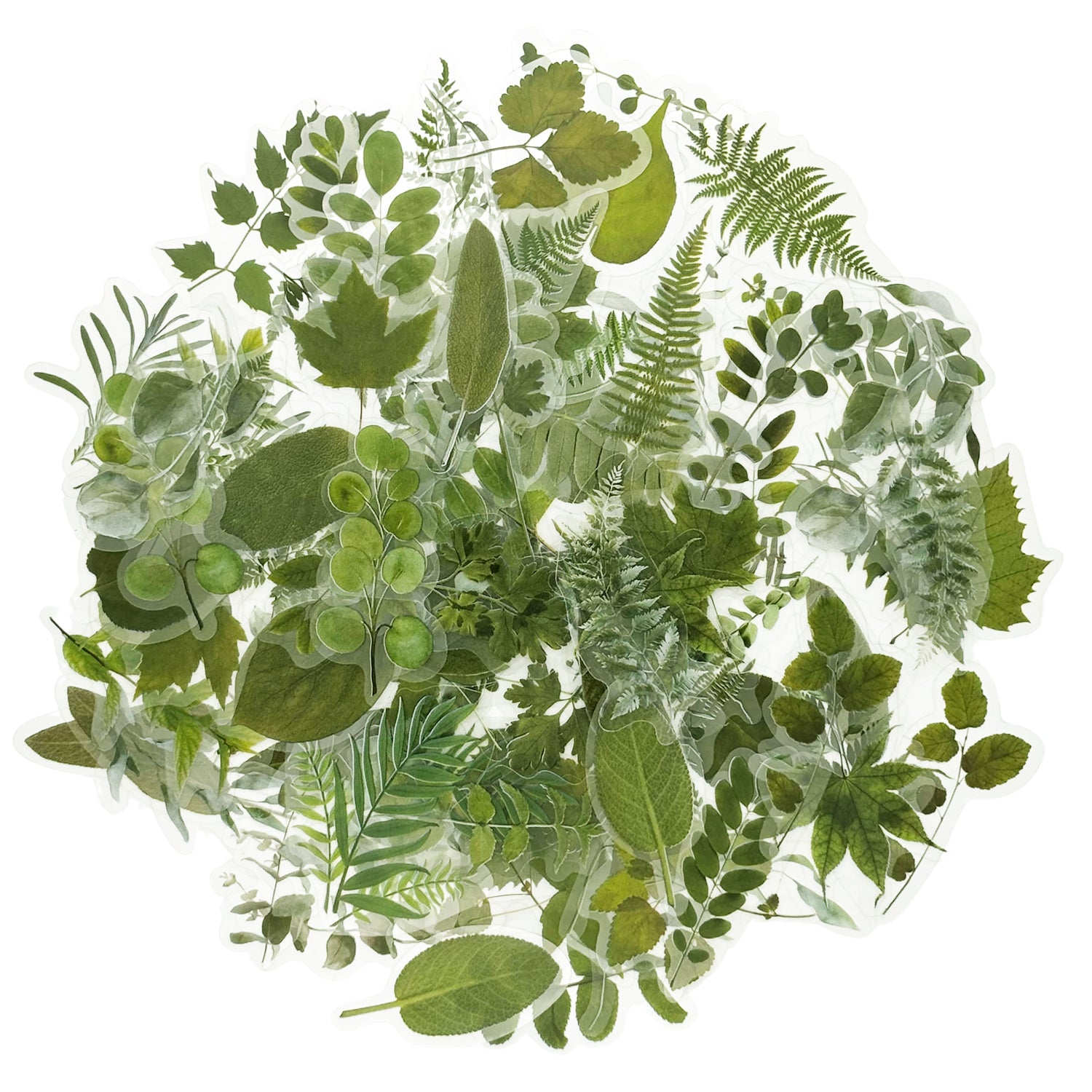 100 Pcs Natural Forest Greenery Leaves Stickers