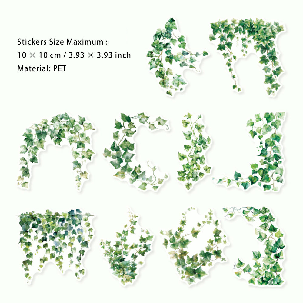 20 Pcs PET Vine Stickers YMSZ