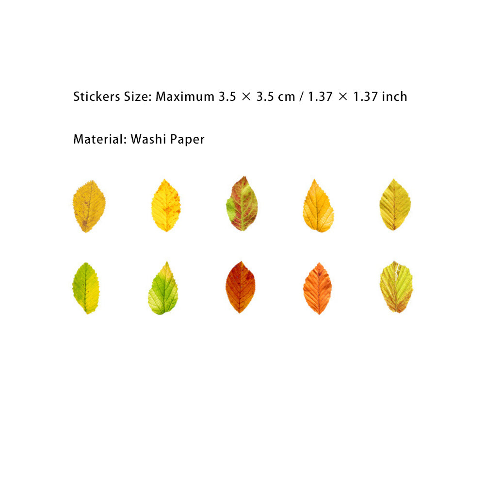 1 Roll Leaf Stickers Tape XXDLY