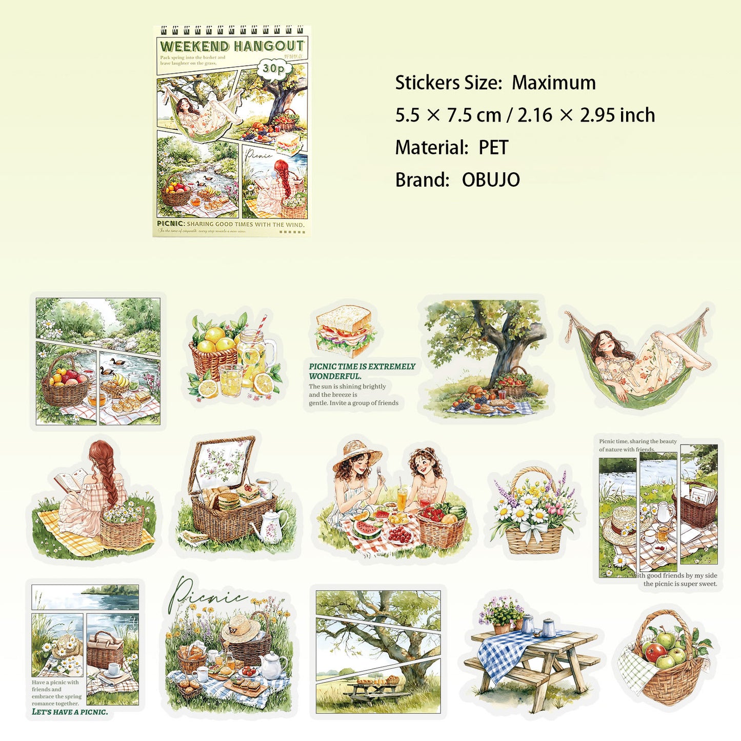 30 Pcs Party Themed PET Stickers XJYX