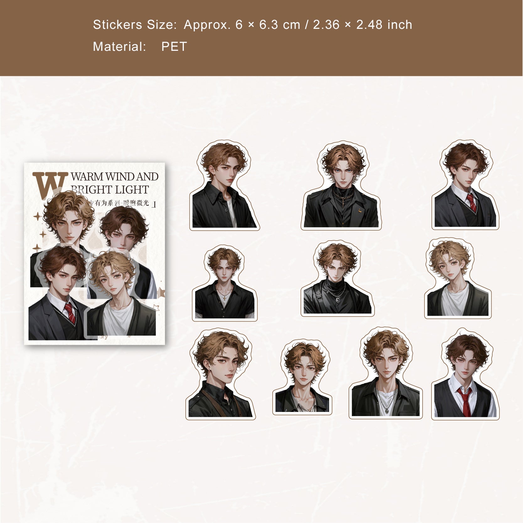20 Pcs Handsome Boy PET Stickers NSYW