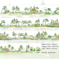 1 Roll Wild Landscape Washi Tape SYMC