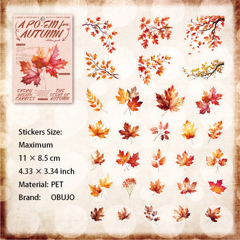 30 Pcs Autumn Themed PET Stickers XGQTDS