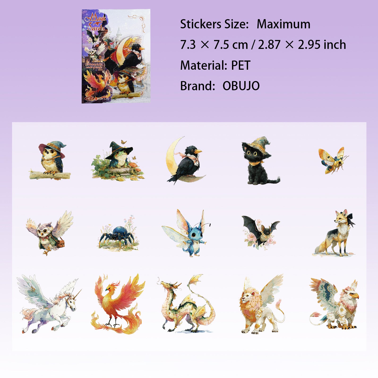 15 Pcs Gothic Magic PET Stickers MFMZ