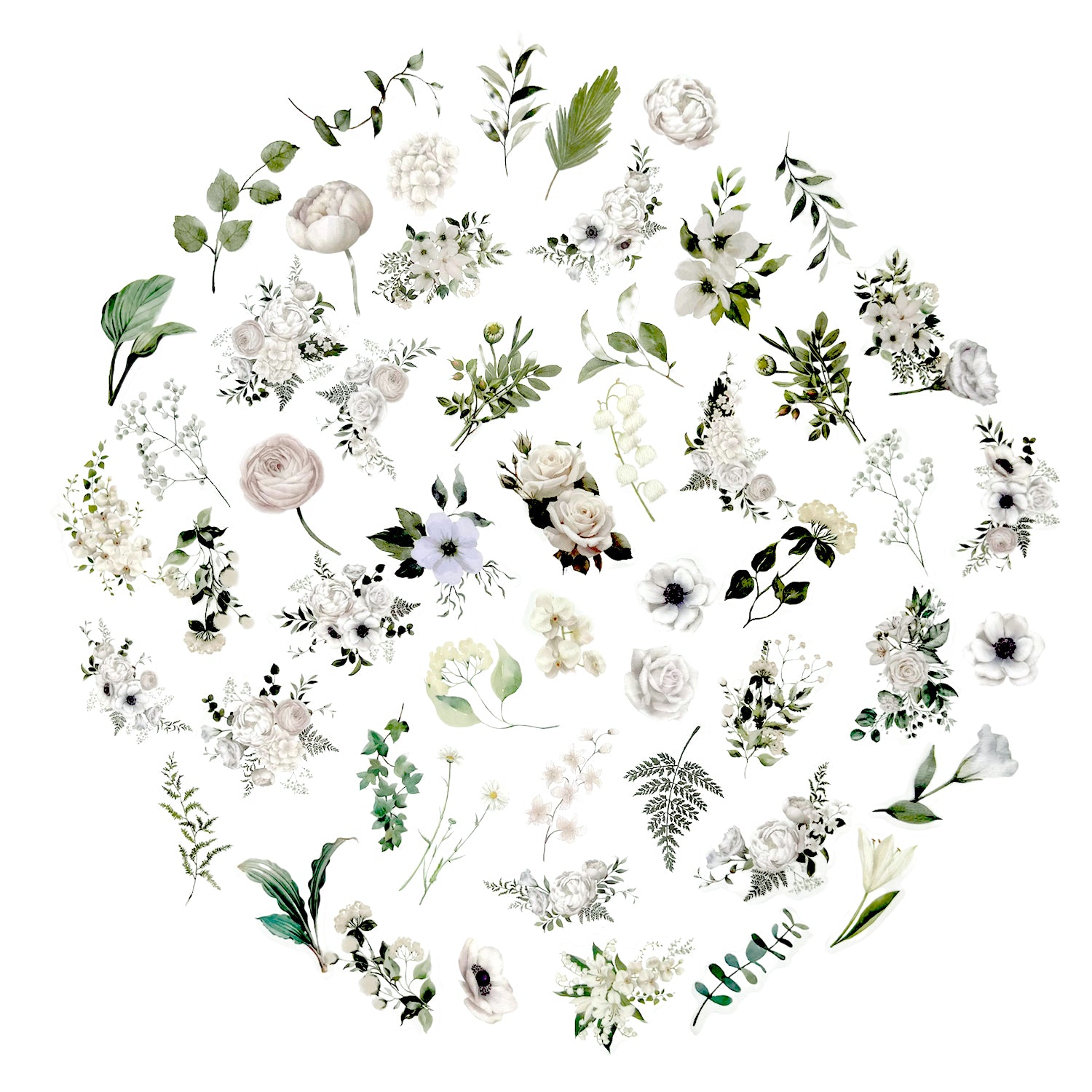 100 Pcs Watercolor Botanical Flowers Stickers - Camelia