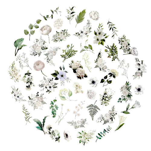 100 Pcs Watercolor Botanical Flowers Stickers - Camelia