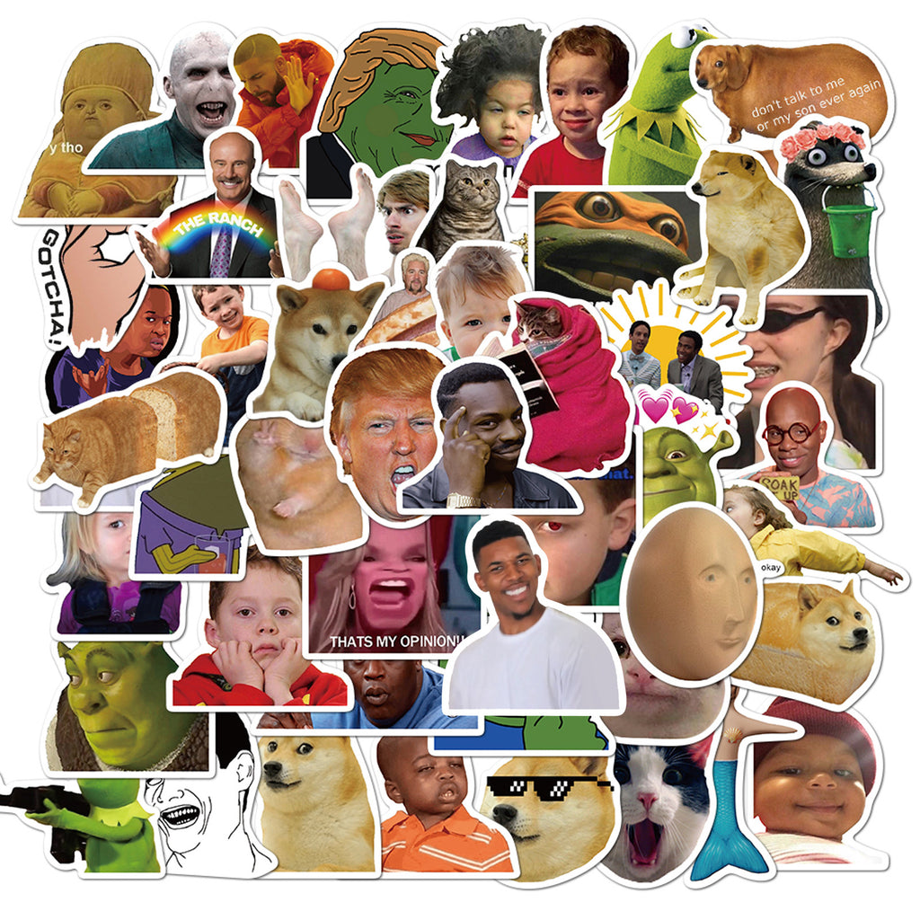 50 Pcs Vinyl Fun Meme Stickers Stickers CNY098