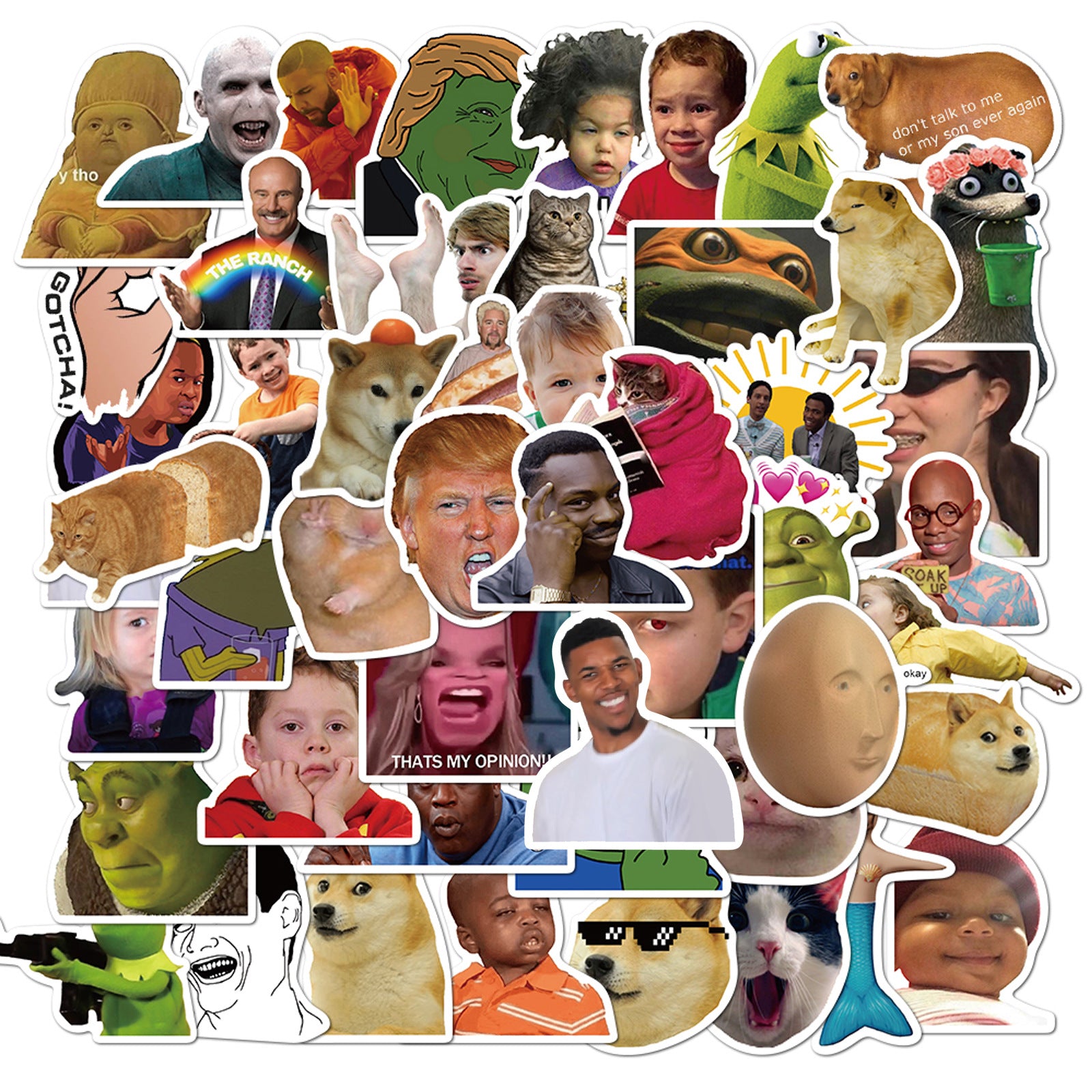 50 Pcs Vinyl Fun Meme Stickers Stickers CNY098