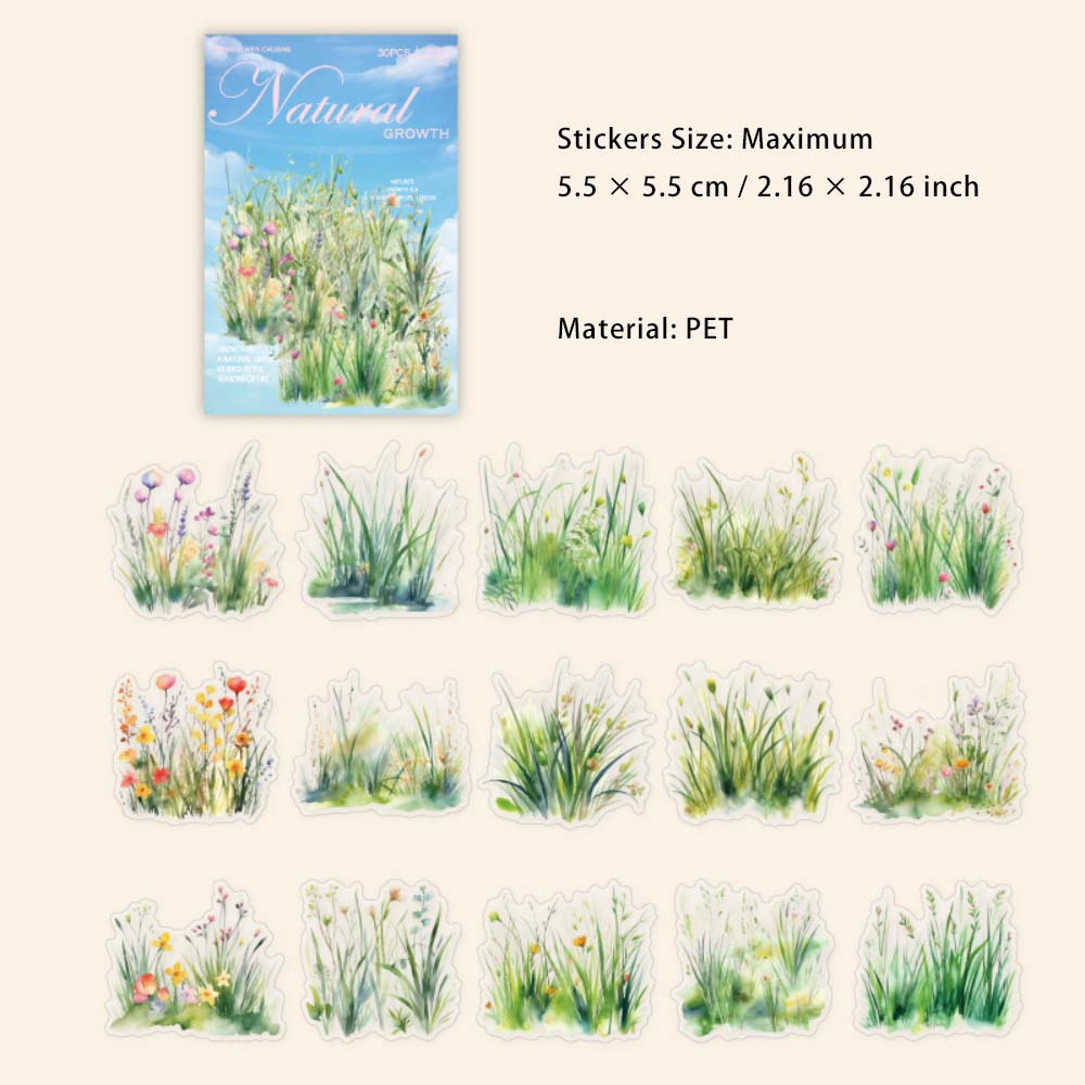 30 Pcs Wild Grass PET Stickers ZRSZ