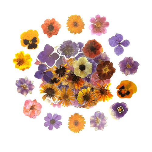 100 Pcs Vintage Pressed Flower PET Stickers