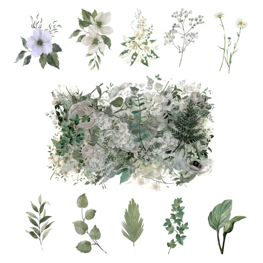 100 Pcs Watercolor Botanical Flowers Stickers - Camelia