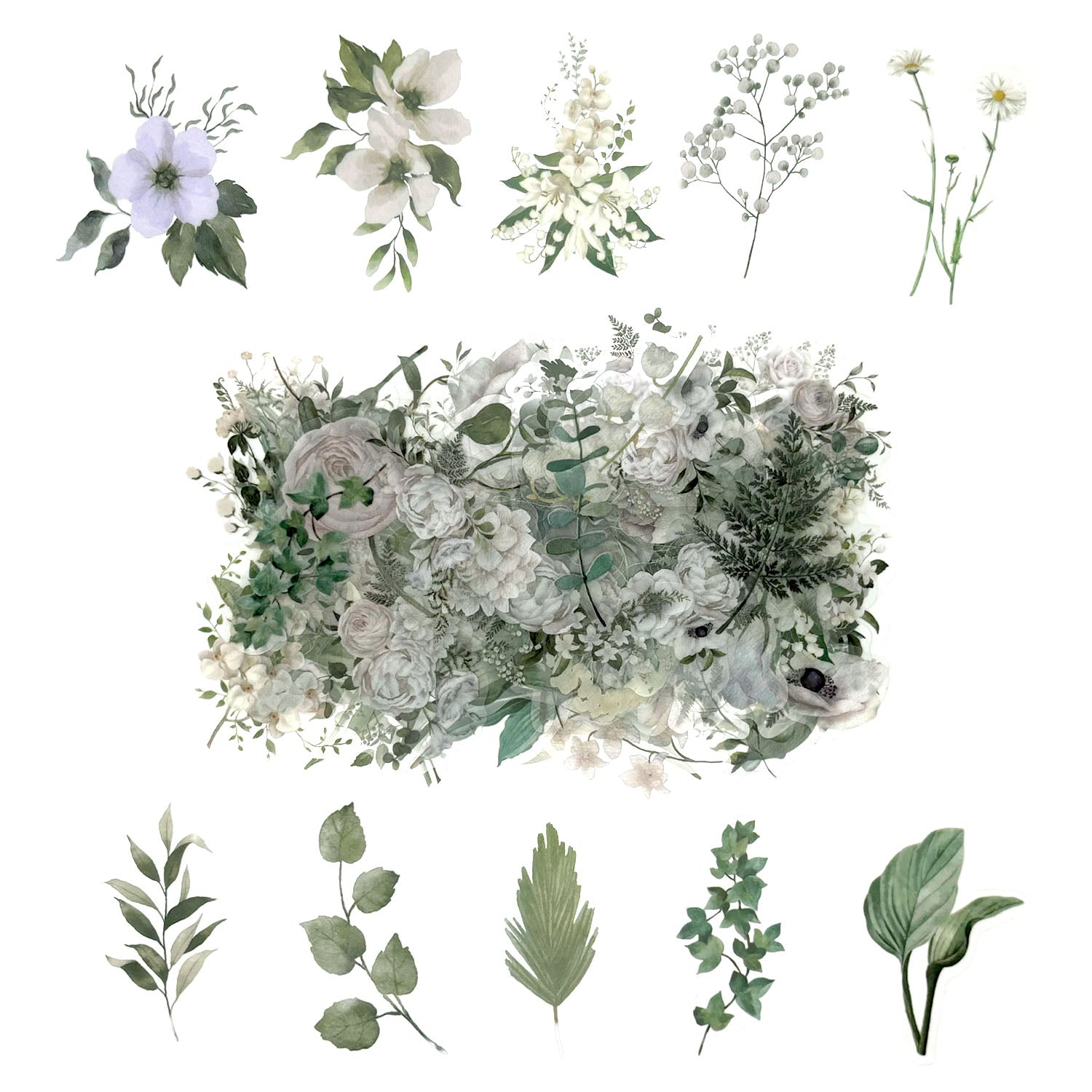 100 Pcs Watercolor Botanical Flowers Stickers - Camelia