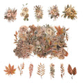 100 Pcs Watercolor Botanical Flowers Stickers - Autumn