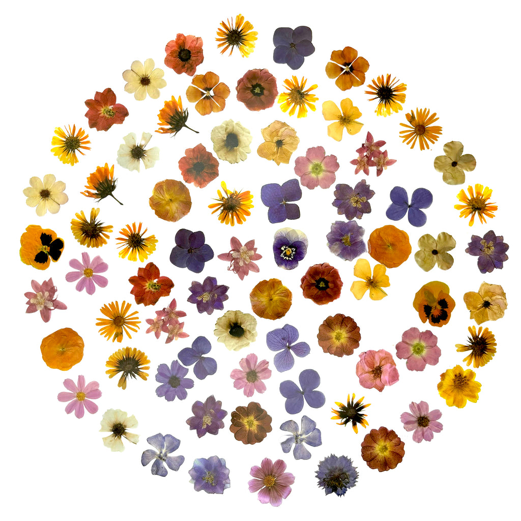 100 Pcs Vintage Pressed Flower PET Stickers