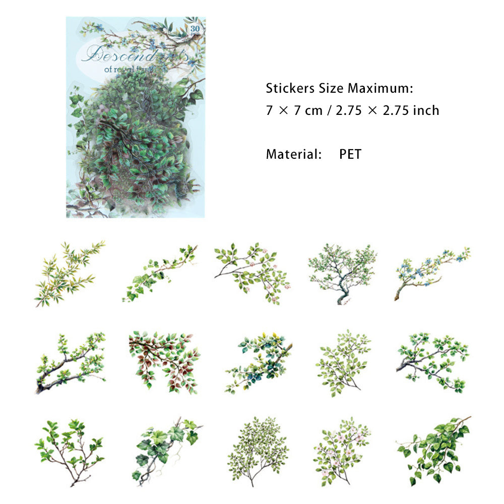 30 Pcs Flower Vine PET Stickers JZYY