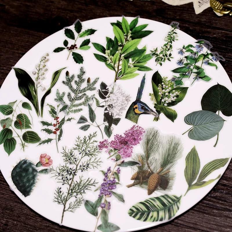Vintage flowers leaves fruit and nature botanical stickers