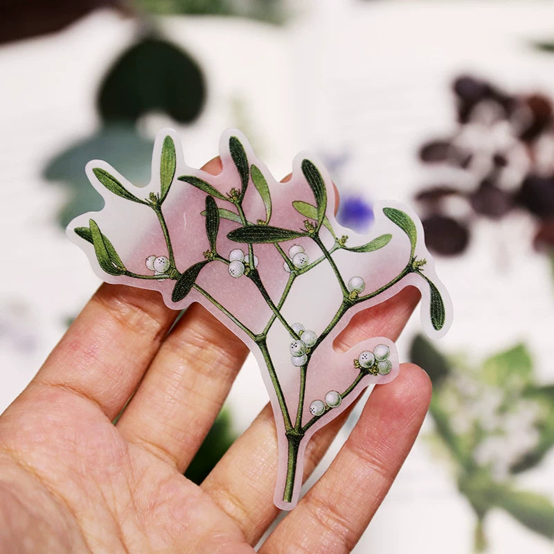 Vintage plant specimen journaling stickers