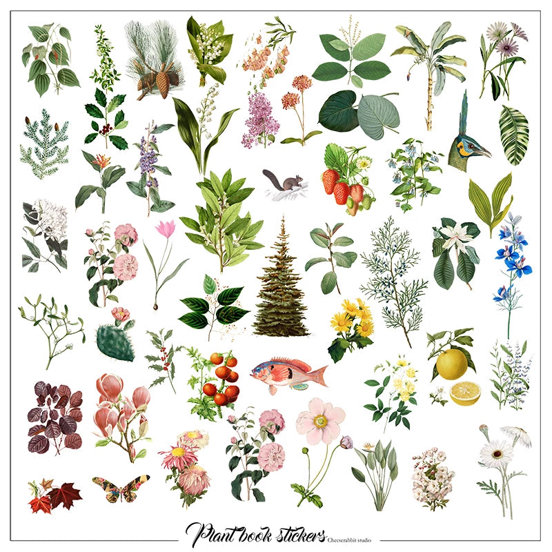 Botanical flower leaf and fruit scrapbook sticker collection