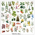 Botanical flower leaf and fruit scrapbook sticker collection