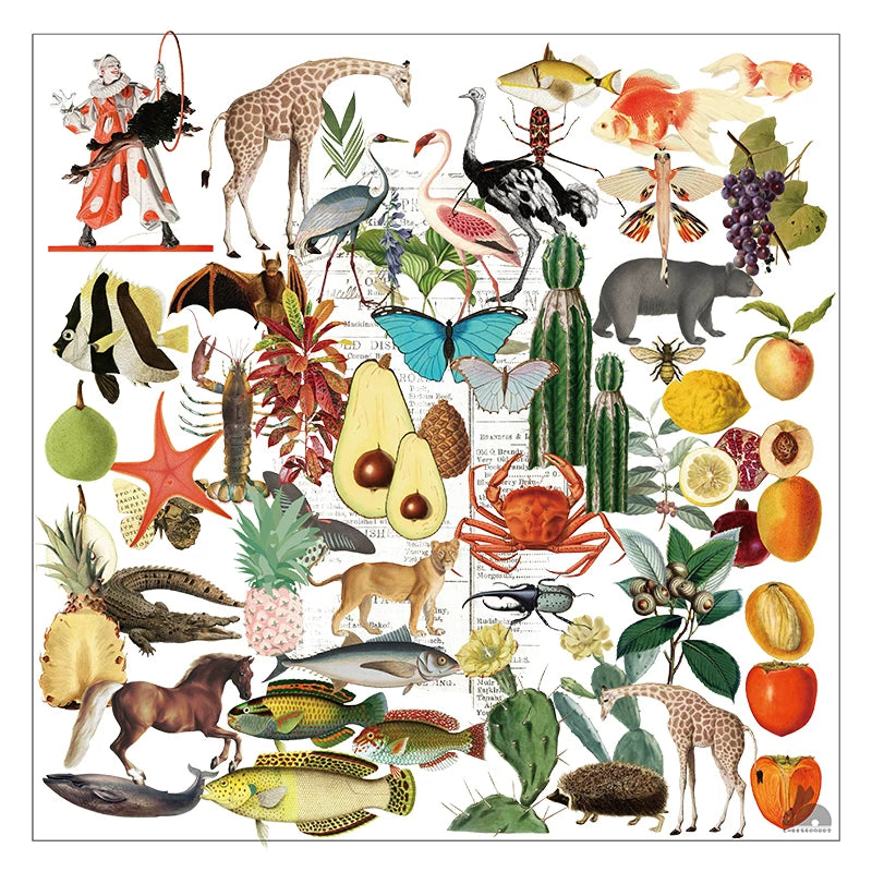 50PCS vintage natural history vellum scrapbook stickers